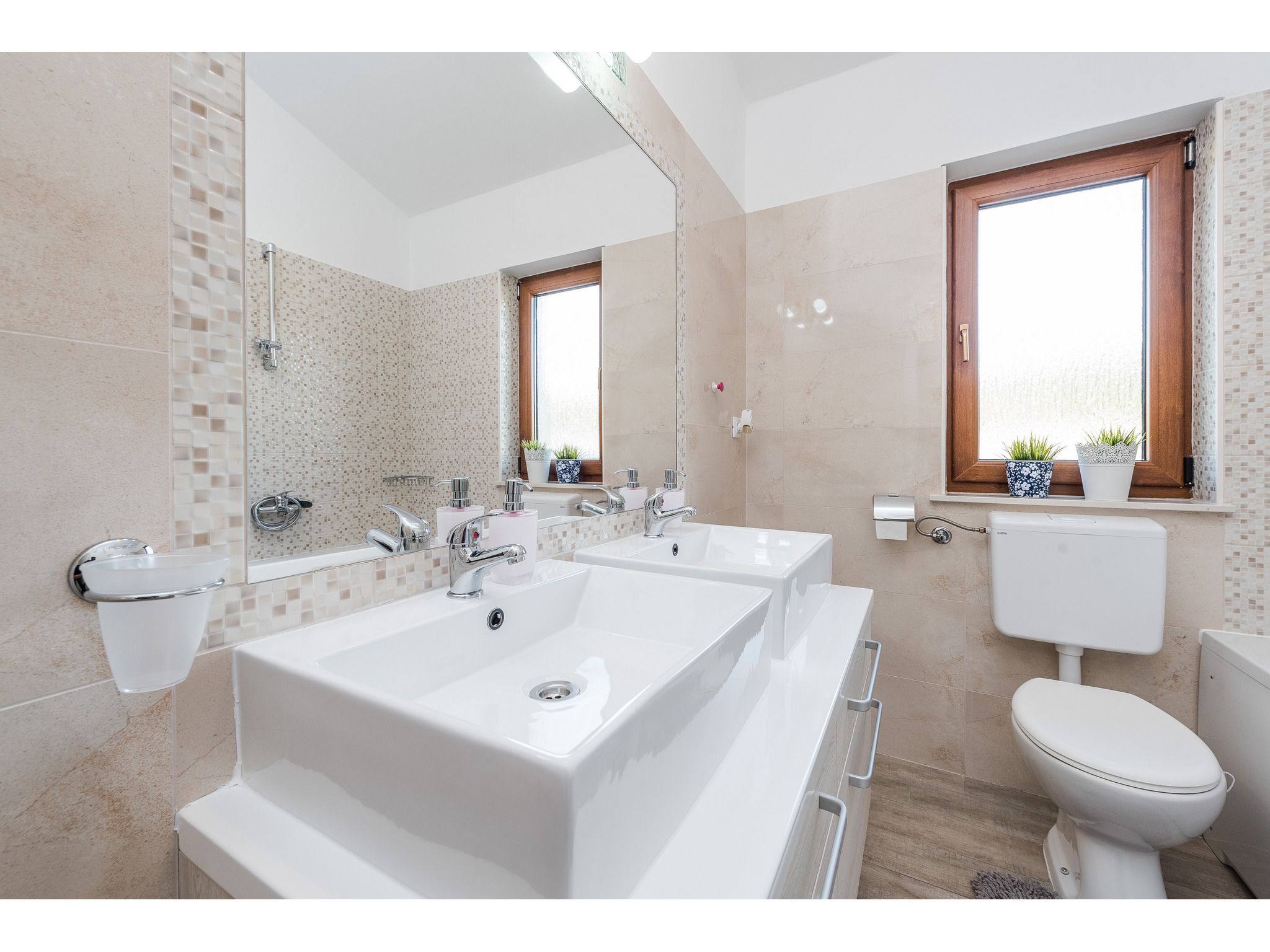 Vila More with pool and garden