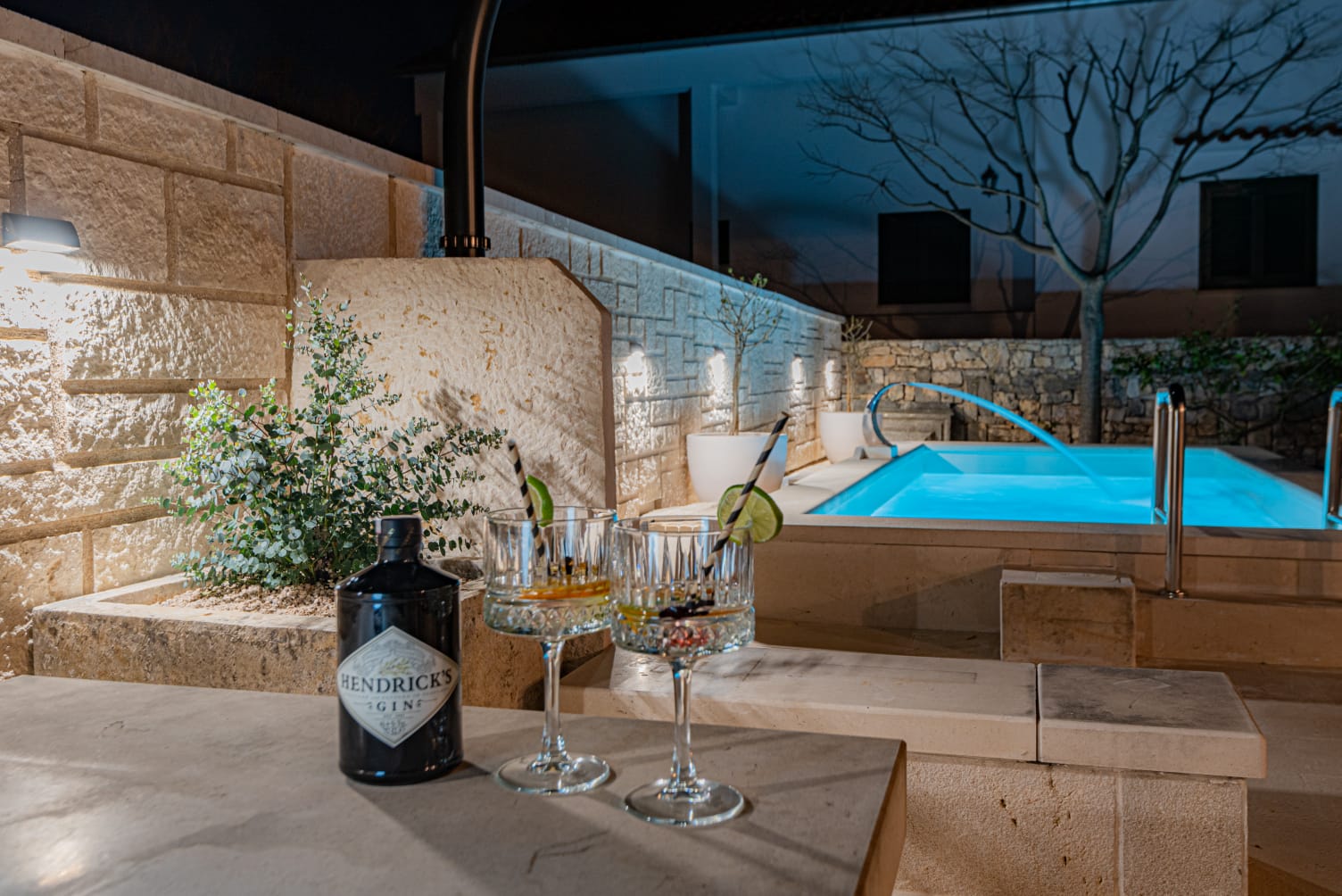 Villa V4 with pool